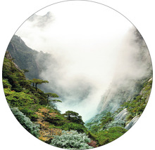 Berge mit Vegetation und Nebel