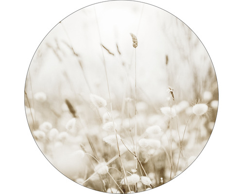 Glasbild rund Meadow flowers III Ø 50 cm