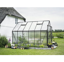 Gewächshaus im Garten mit geöffneter Tür und Pflanzen