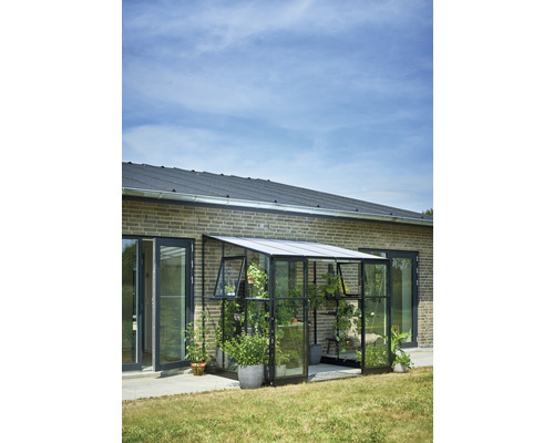 Anlehngewächshaus Halls Qube Lean-To 68 Sicherheitsglas 3 mm 188 x 251 cm schwarz Gewächshaus aus Glas und Metall an einer Hauswand mit Pflanzen