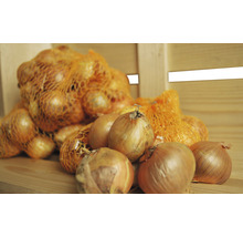 Zwiebeln in Netzen und lose auf Holzgrund