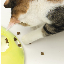 Katzenspielzeug, Futterstelle Catit Snack Karussel 18,5 x 5,5 x 18,5 cm grün-gelb