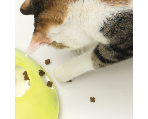 Katze spielt mit einem interaktiven Futterspielzeug.
