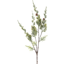 Dekorativer Tannenzweig mit Zapfen