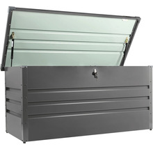 Geöffnete graue Gartenbox mit Schlüssel