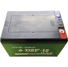 Chilwee 6-DZF-12 Moped-Batterie