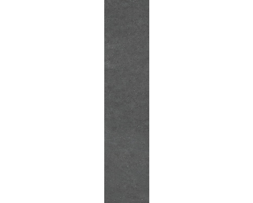 Graue Feinsteinzeugfliese