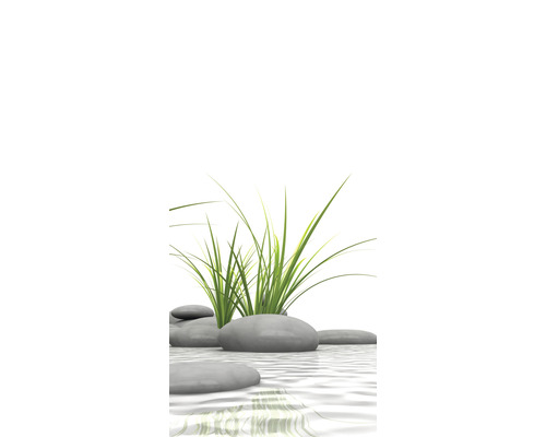 Dekorative Steine und Gras im Wasser