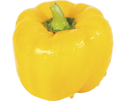 Gelbe Paprika