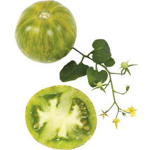 Ganze und halbierte Tomate mit Blättern und Blüten