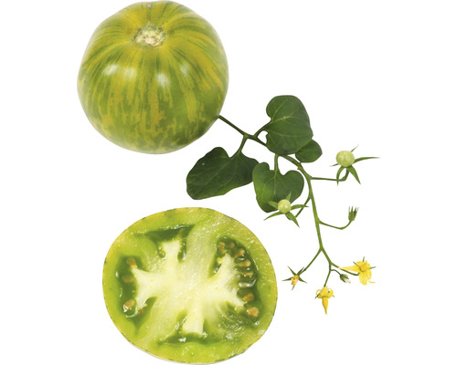 Ganze und halbierte Tomate mit Blättern und Blüten