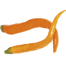 Zwei gelbe Spitzpaprika
