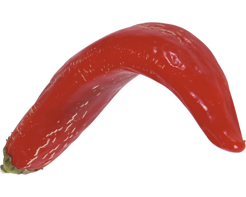 Einzelne rote Chili