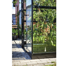 Detailansicht eines Gewächshauses mit Pflanzen im Garten.