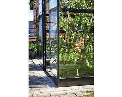 Detailansicht eines Gewächshauses mit Pflanzen auf einer Terrasse.
