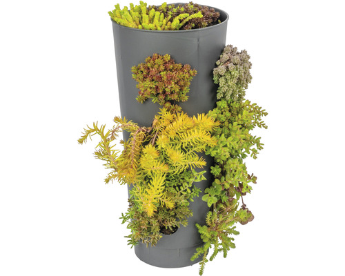 Vertikaler Pflanzbehälter mit Sukkulenten bepflanzt