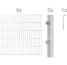 Doppelstabmattenset ALBERTS Typ 6/5/6 800 x 140 cm feuerverzinkt