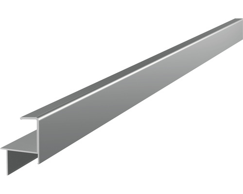 Abschlussschiene silber für Dielenstärke 25-26 mm 2x35,6x52,2x4000 mm Aluminium Übergangsprofil