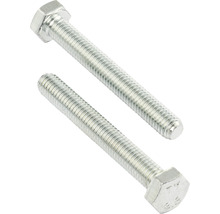 Zwei Sechskantschrauben aus Metall