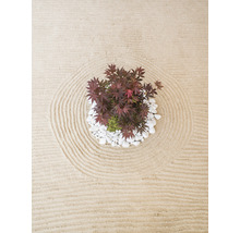 Zen-Garten mit Ahornbaum und Kieselsteinen auf Sand