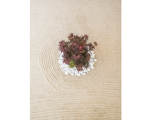 Zen-Garten mit Ahornbaum und Kieselsteinen auf Sand