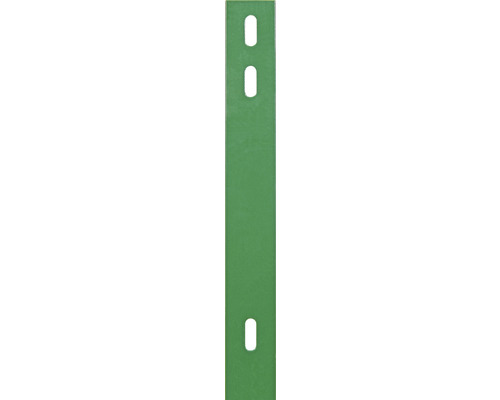 Flacheisen ALBERTS für Doppelstabmatten 40x4 mm 2060 mm Bohrabstand 400 mm grün Grüne Lochbandstreifen mit Löchern