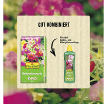 FloraSelf Balkonblumenerde und Balkon- und Kübelpflanzendünger