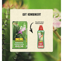 FloraSelf Kakteenerde Substrat und Kakteen Dünger im Set