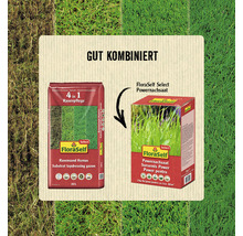 FloraSelf Rasensand, Humus und Powernachsaat zur Rasenpflege