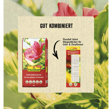 FloraSelf Zimmerpflanzenerde und Düngestäbchen für Grün- und Zierpflanzen