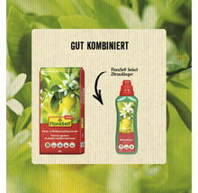 Empfohlene Kombination von FloraSelf Select Zitruspflanzenerde und Zitrusdünger