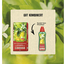 FloraSelf Select Zitruspflanzenerde und Zitrusdünger