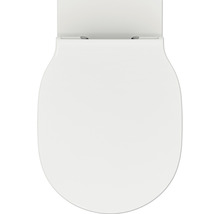 Toilettensitz von oben