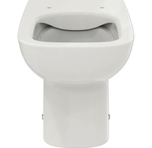 Standbidet aus Sanitärkeramik