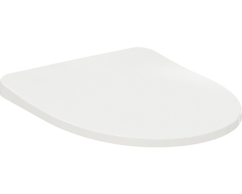 Toilettendeckel aus Sanitärkeramik