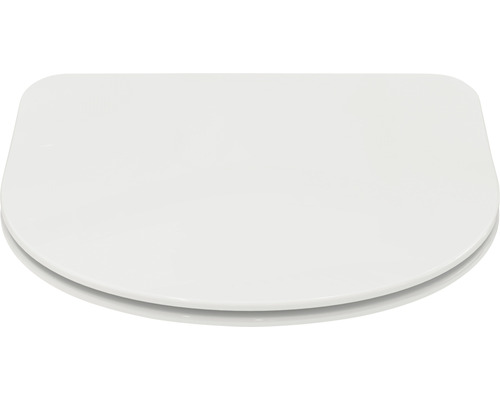 Toilettendeckel aus Kunststoff