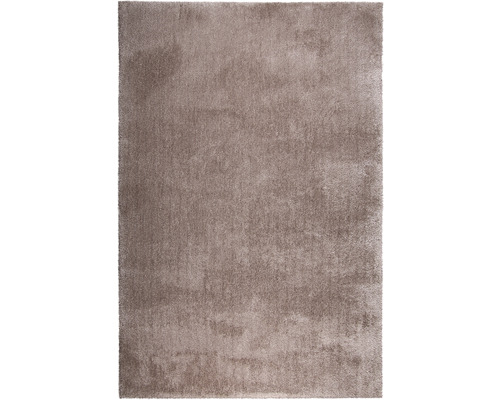 Teppich Shaggy Wellness taupe 200x300 cm