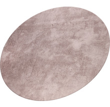 Ovaler Teppich mit Hochflor