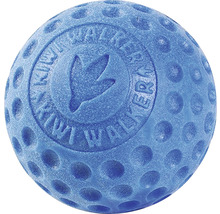 Blauer Hundeball mit Noppen und Logo