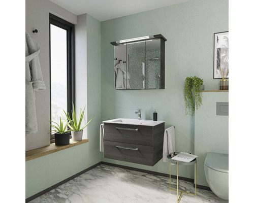 Badezimmer mit Waschtischunterschrank, Spiegelschrank und Toilette