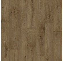 PVC-Boden Jackson Holz-Optik 122M Polaris Vero braun 200 cm breit (Meterware)