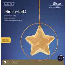 Micro-LED Stern Dekoleuchte mit 15 LEDs, batteriebetrieben, 26 cm Durchmesser