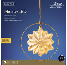 Micro LED Dekorationsleuchte mit Sternform und Aufhängering, 26 cm Durchmesser