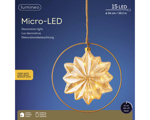 Micro LED Dekorationsleuchte mit Sternform und Aufhängering, 26 cm Durchmesser