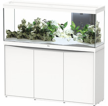 Aquarium mit Unterschrank, inklusive Dekoration, Fischen und Pflanzen.