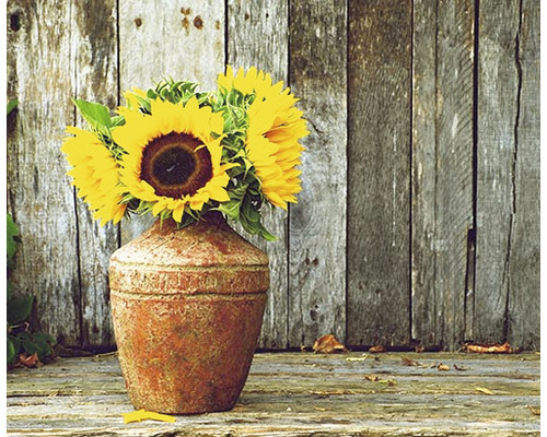 Infrarot Bildheizung Heat4All Motive 15273155 60x60 cm 350 Watt Sonnenblumen in rustikaler Vase vor Holzwand