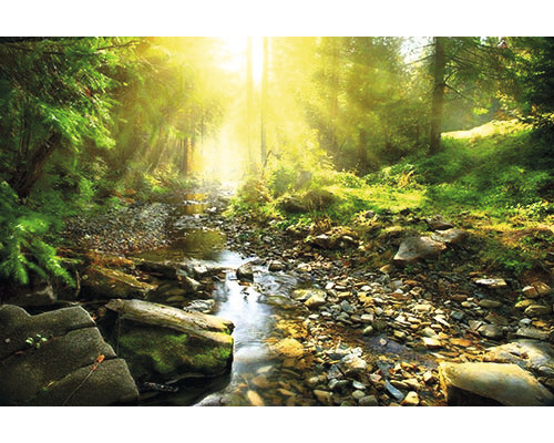 Infrarot Bildheizung Heat4All Motive 32973628 80x60 cm 450 Watt Bachlauf durch einen hellen Wald mit Steinen