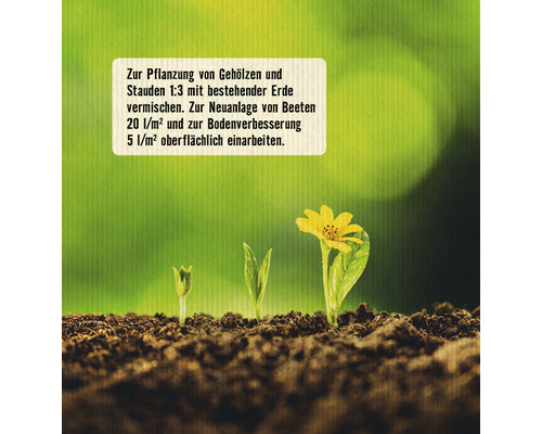 Aufgehende Pflanze im Erdreich