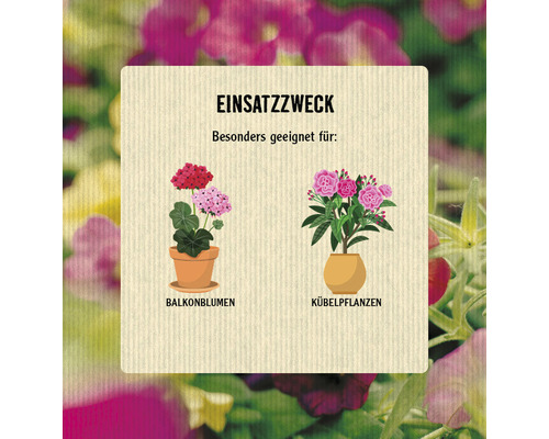 Darstellung von Balkonblumen und Kübelpflanzen als Einsatzmöglichkeit