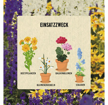 Verwendungszweck von Beetpflanzen, Blumenzwiebeln, Balkonblumen und Stauden